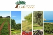 Calemone Azienda Agricola (Torre Guaceto)