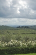 Casa Sola - Vacanze in Chianti