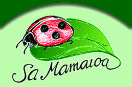 Vacanze low-cost in Sardegna Sa Mamaioa BeB