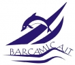 Barcamica sas