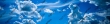 Toptelco (Wind)