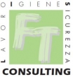 FT Consulting