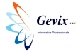 GEVIX S.N.C.