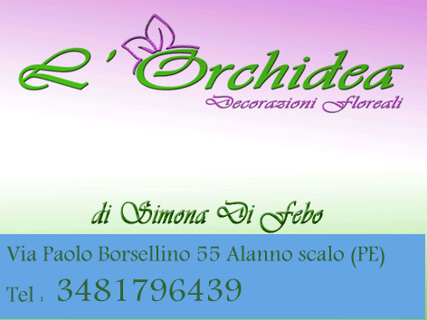 L'ORCHIDEA DI TICCHIONE