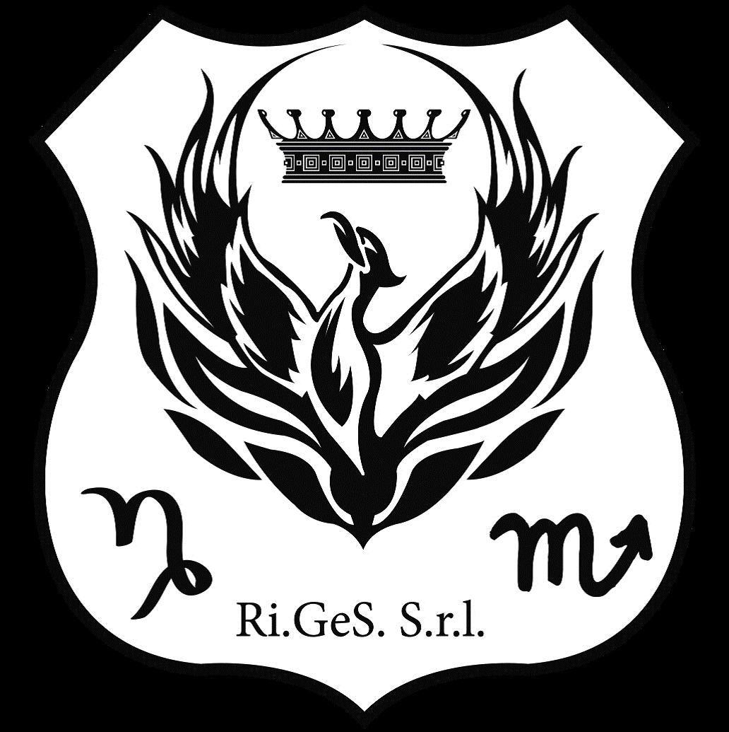 RI.GeS.S.r.l.