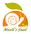 Miceli's Snail Allevamento Vendita Lumache