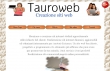 TAUROWEB