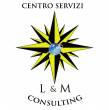 L&M CONSULTING