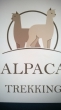 ALPACA FRIERA