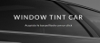 Window Tint Car