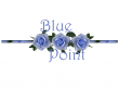 Blue Point traduzioni e interpretariato