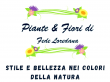 Piante e Fiori di Agosta Carmelo