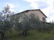 AGRITURISMO IL CERRETO