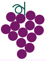 Impianti per vigneti - frutteti