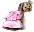 DIENNE SERVICES PET'S FASHION COUTURE