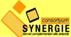 Synergie Consortyum