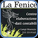 LA FENICE SRL