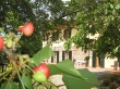 OFFERTA AGRITURISMO MARE TOSCANA PISA