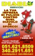 IMPRESA DI PULIZIE DIABLO SERVICES