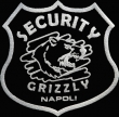 SECURITY GRIZZLY VIGILANZA SICUREZZA NAPOLI