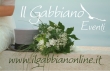 IL GABBIANO EVENTI