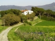 Agriturismo Al Germano, soggiorni in Toscana