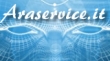 Araservice