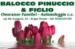 Onoranze Funebri BALOCCO PINUCCIO & FIGLIO